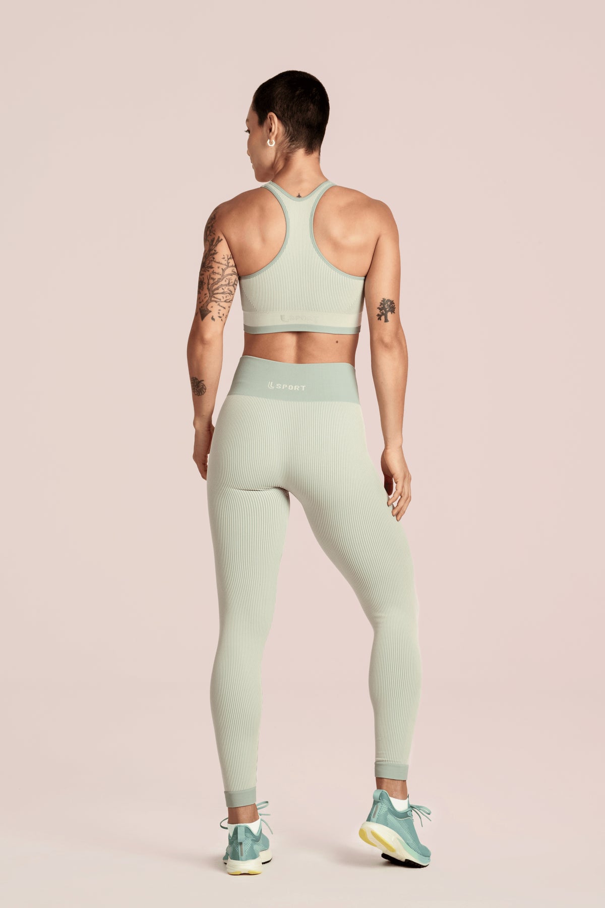 Verde Fresh