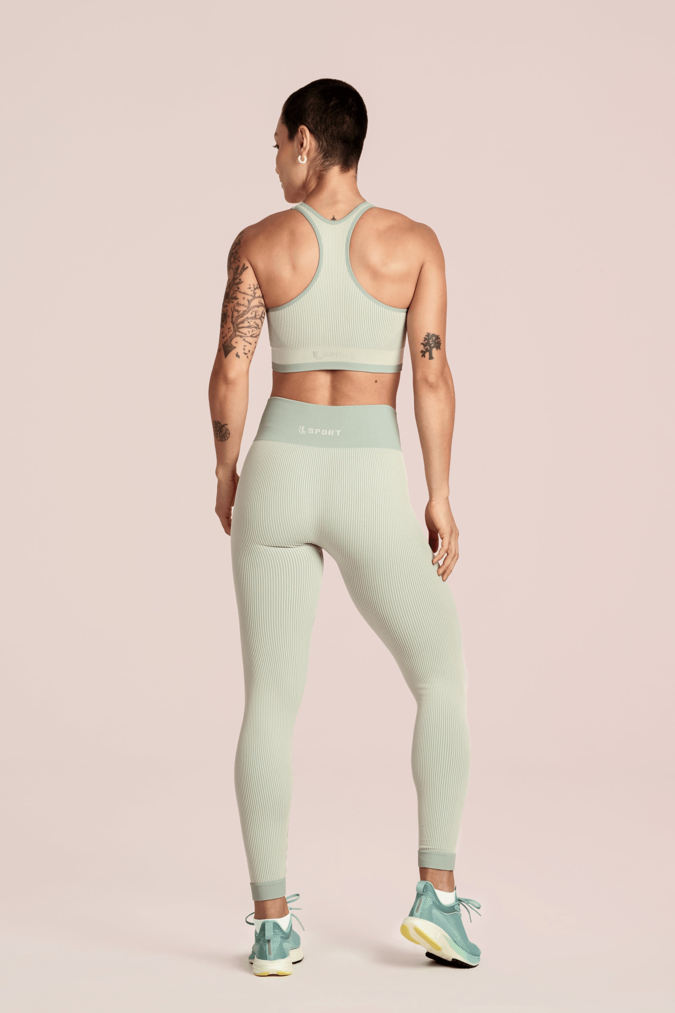 Verde Fresh